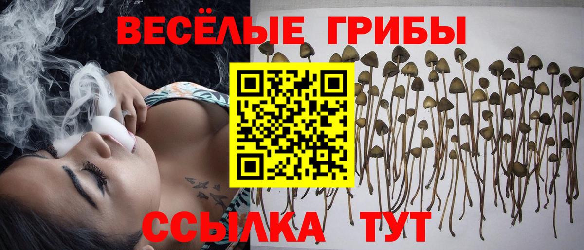 Альфа ПВП Ноябрьск