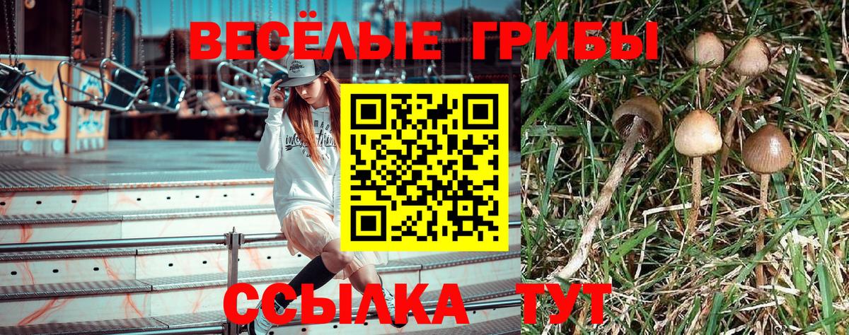 Галлюциногенные грибы Cubensis Ноябрьск
